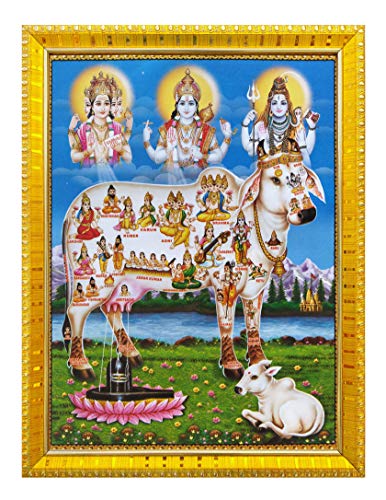 Kamdhenu Cow with Brahma Vishnu Mahesh / Shiva Blessing Laminated Poster with Synthetic Wood Golden Frame (30 X 23 cm) (Framed No Glass Required) Mangal Fashions | Indian Home Decor and Craft