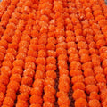 MangalFashions Artificial Marigold Garland | 5 Strings Pack - 4.5 Feet Each | Indian/American Decor for Pooja, Wedding, Christmas, Events, Party Mangal Fashions | Indian Home Decor and Craft