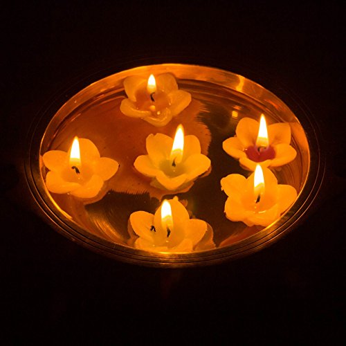 MangalFashions Brass Traditional Decorative Urli Bowl (Gold_6 Inch X 7.5 Inch X 2 Inch) Mangal Fashions | Indian Home Decor and Craft